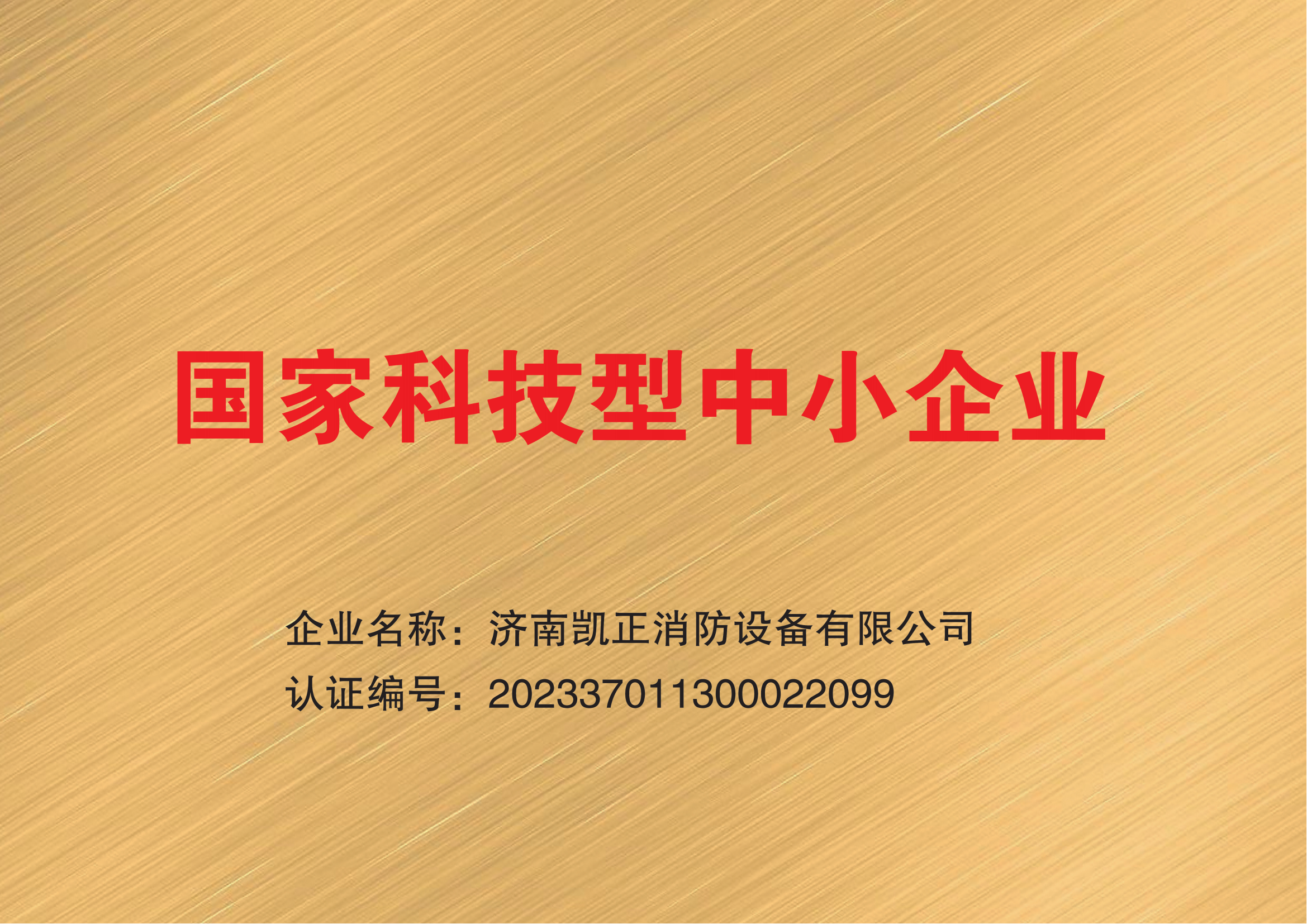 凱正資質(1)_02